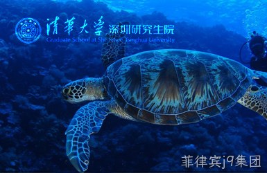 点击查看