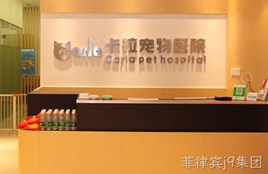 点击查看卡拉宠物案例