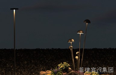 点击查看