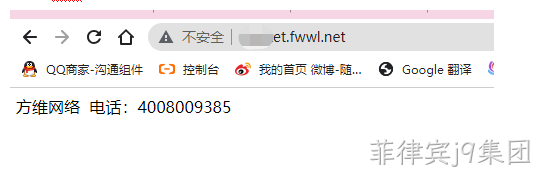 显示网页