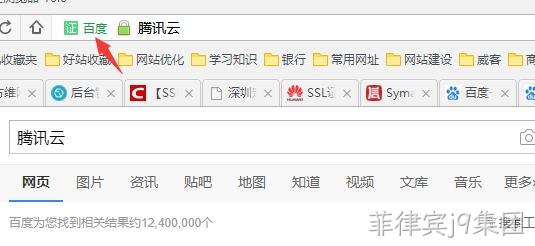 HTTPS 公司名显示2