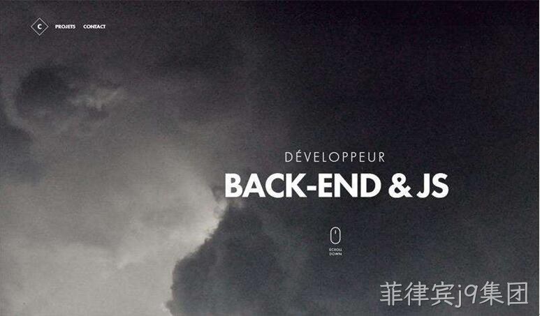 品牌网站设计