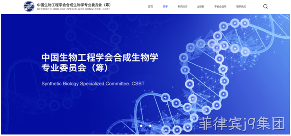 网站设计图