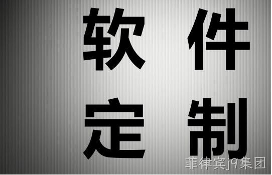 软件定制