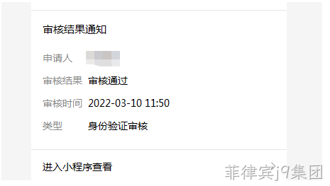 审核结果