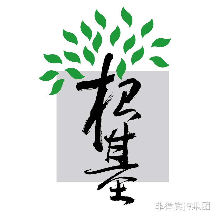 网站设计基础