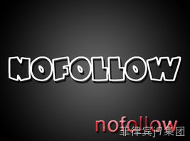 nofollow检测