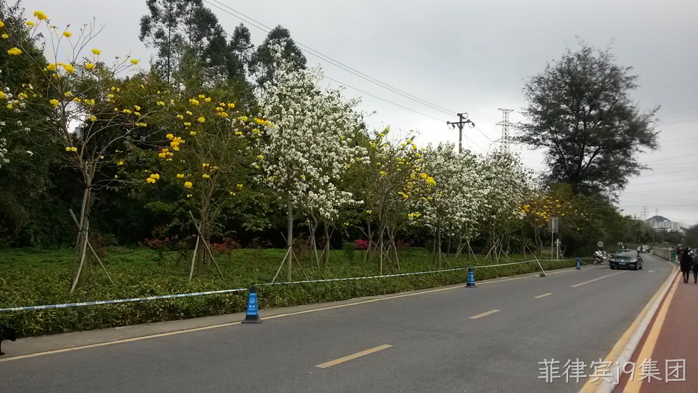 菲律宾j9集团仙湖行