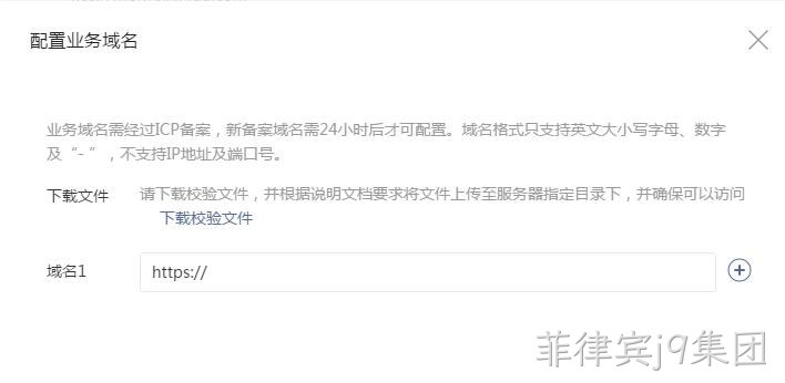 配置业务域名要求